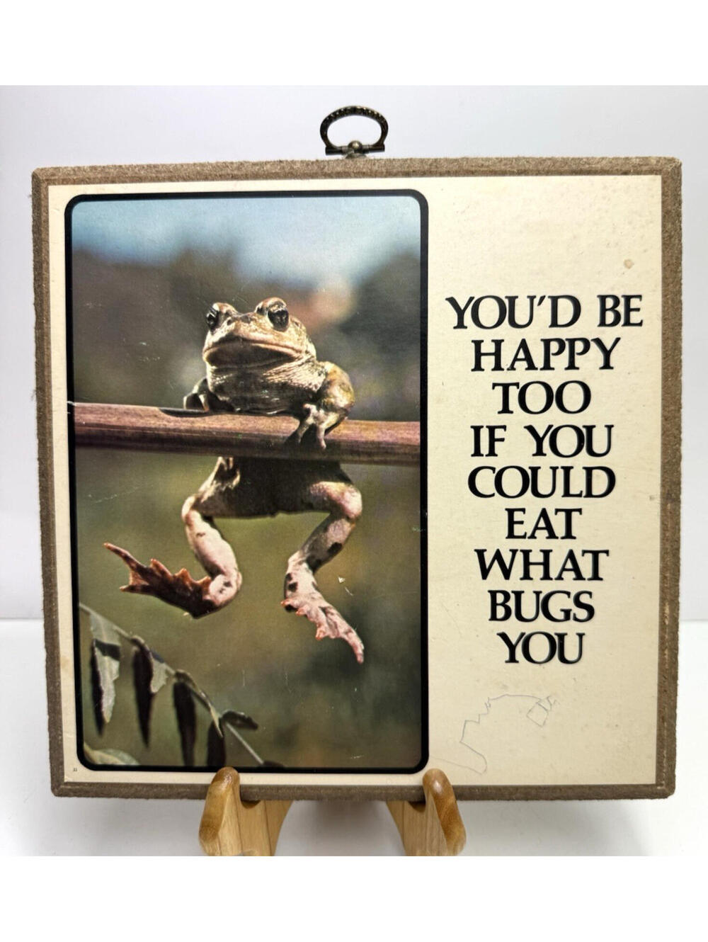 Vtg 70s 80s Frog Toad Hanging Wall Plaque Quote Square Funny Novelty Decor